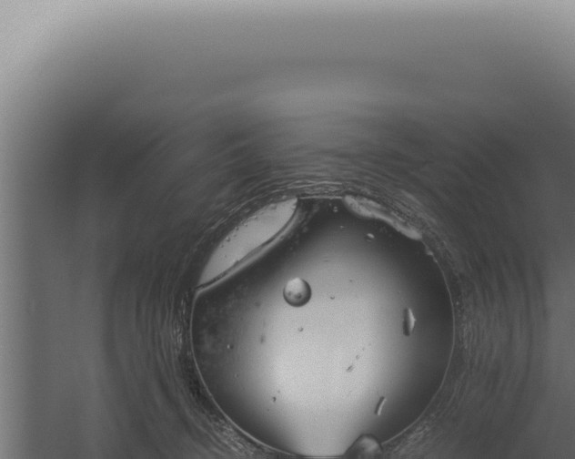 X0000060260370200511041355