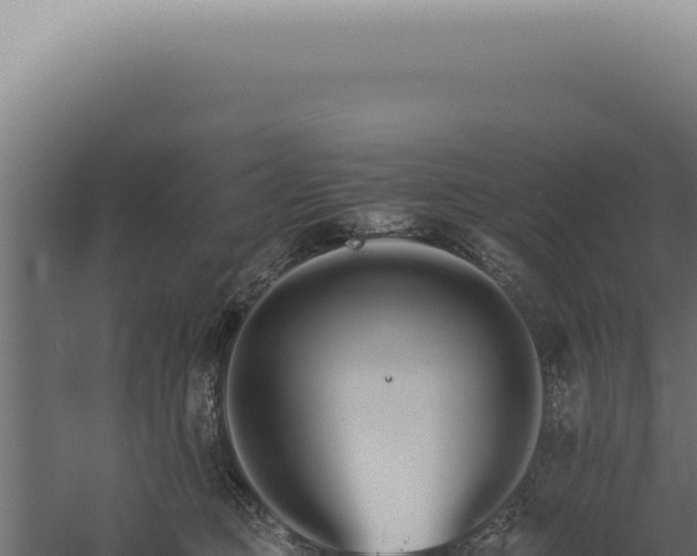 X0000060260373200511041356