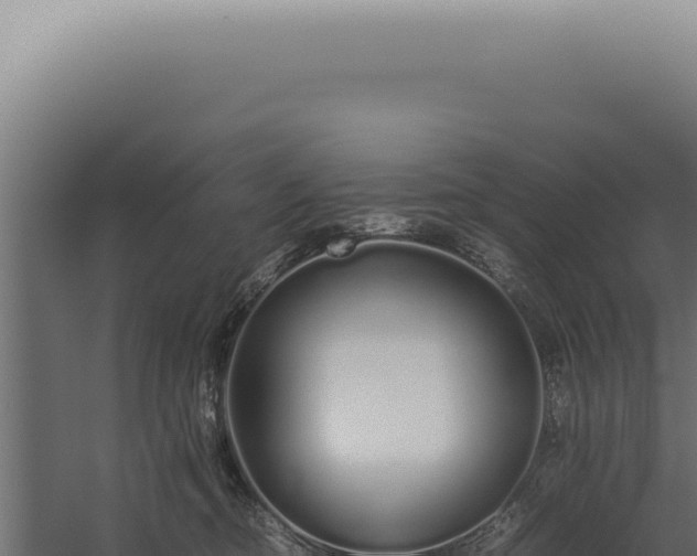 X0000060260374200511041356