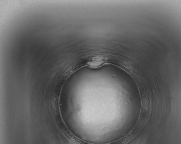 X0000060260375200511041356