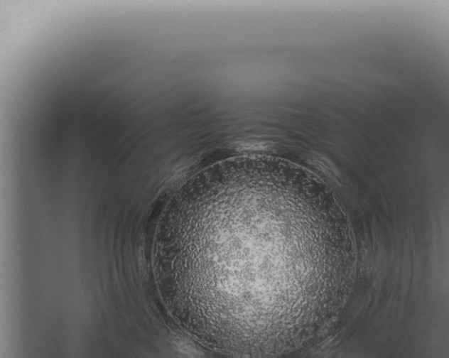 X0000060260377200511041356