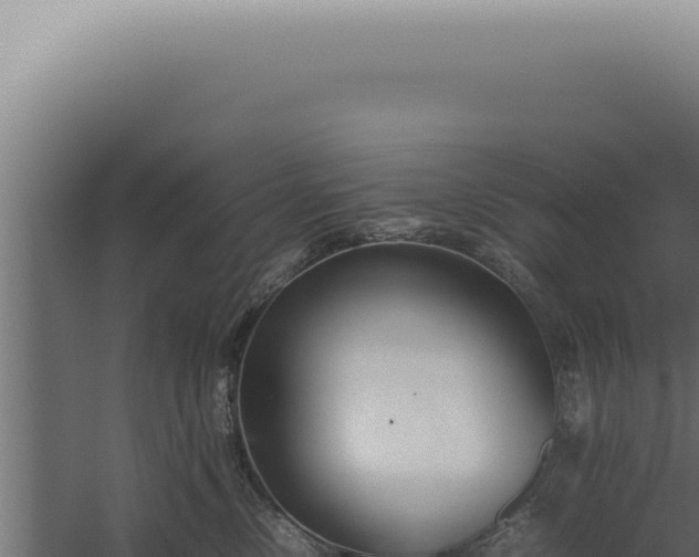 X0000060260378200511041356