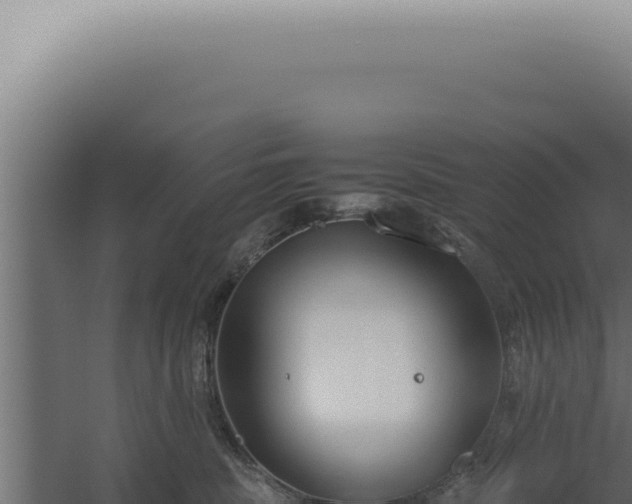 X0000060260379200511041356