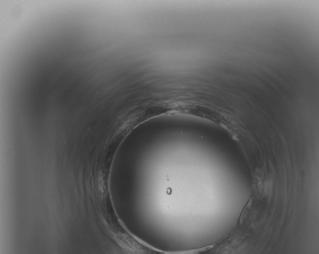 X0000060260380200511041356