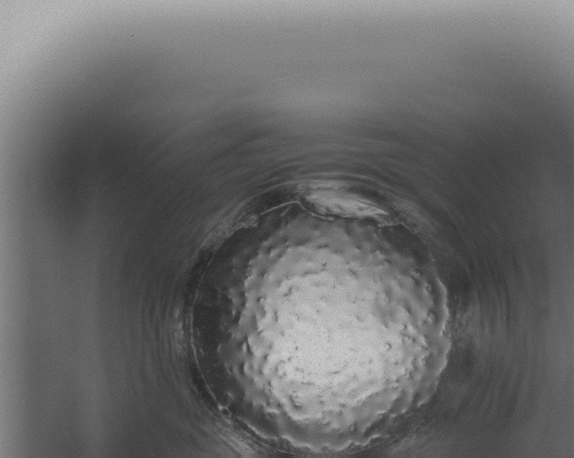 X0000060260381200511041356