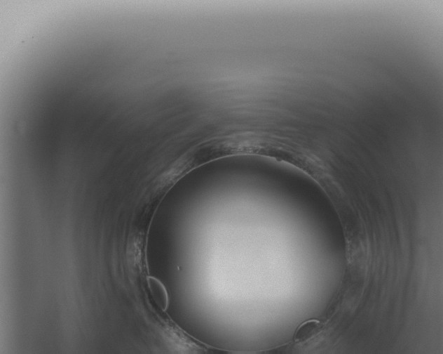 X0000060260382200511041356