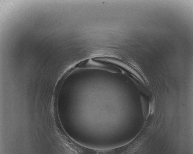 X0000060260387200511041355