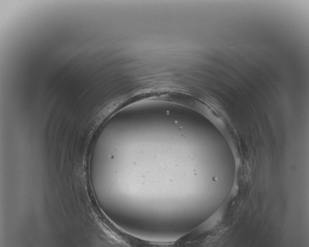 X0000060260389200511041355