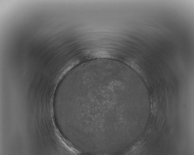 X0000060260390200511041355