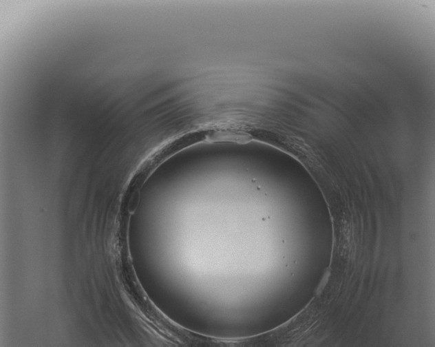 X0000060260392200511041355