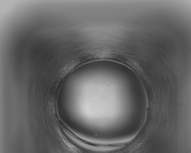 X0000060260393200511041355