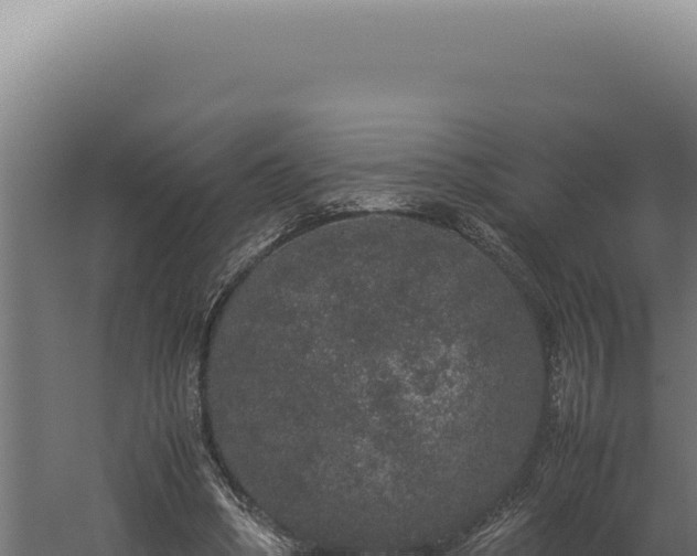 X0000060260394200511041355