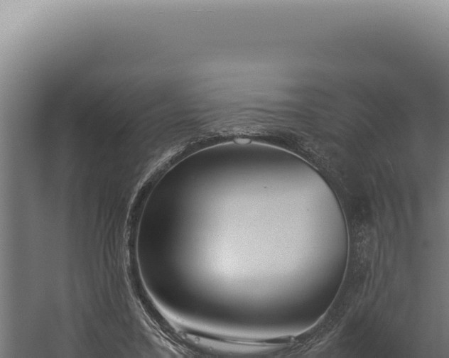 X0000060260395200511041355