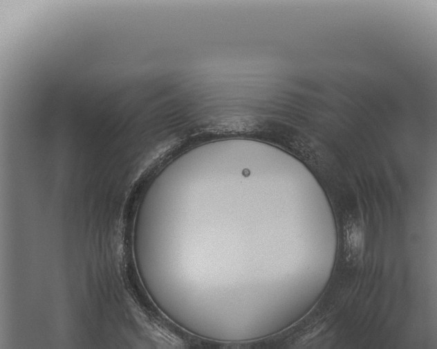 X0000060260396200511041355