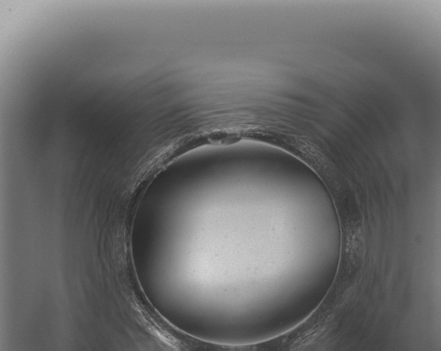 X0000060260397200511041355