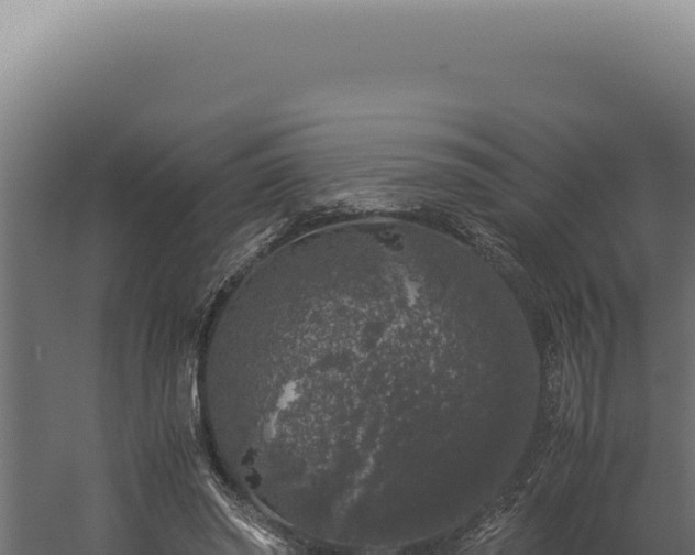 X0000060260398200511041355