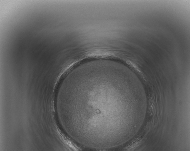 X0000060260399200511041355