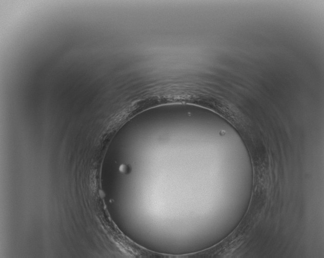 X0000060260401200511041355