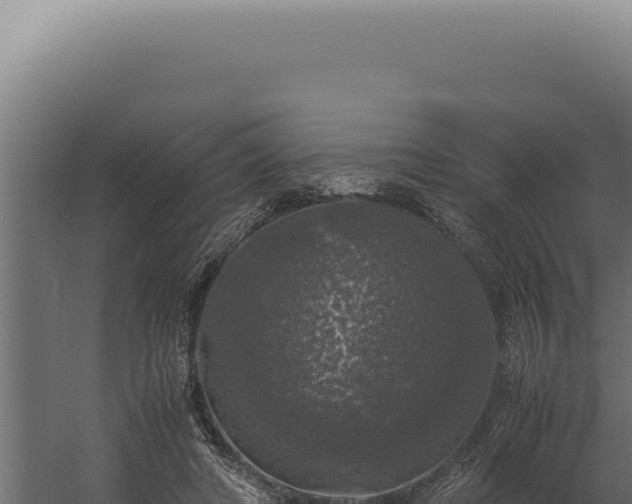 X0000060260402200511041355