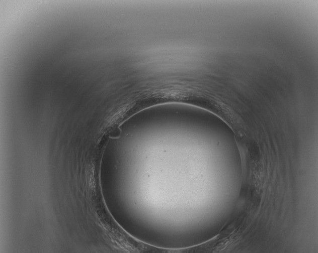 X0000060260403200511041355