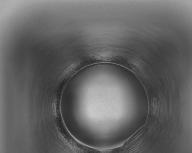 X0000060260404200511041355