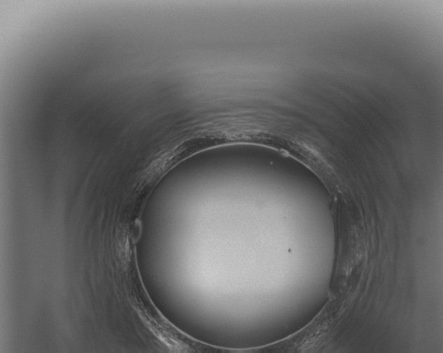 X0000060260405200511041355