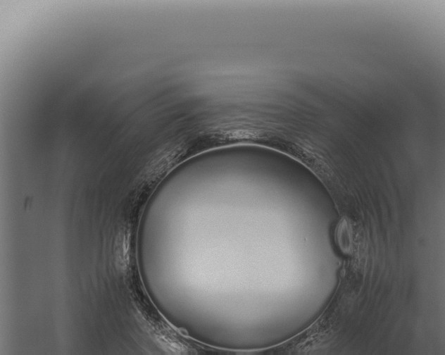 X0000060260406200511041355