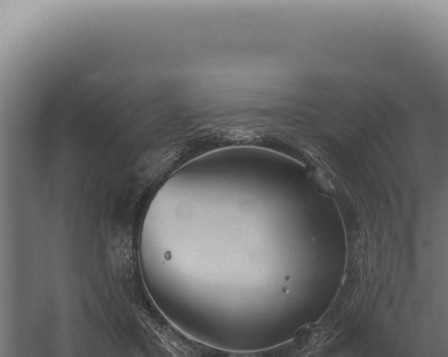 X0000060260407200511041355