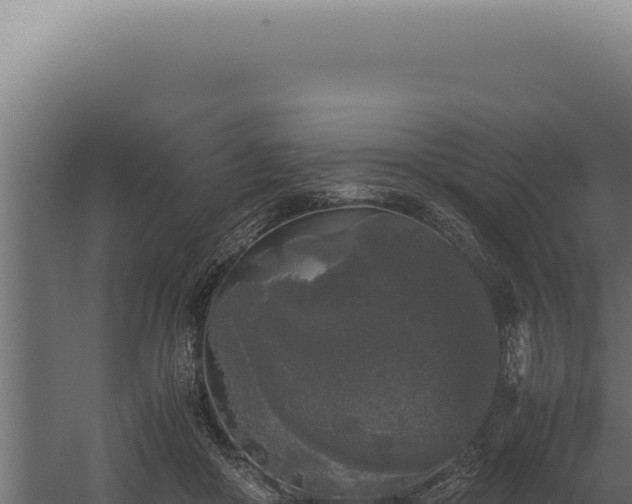 X0000060260410200511041354