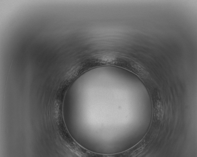 X0000060260412200511041354