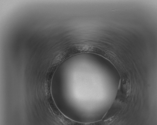 X0000060260416200511041354