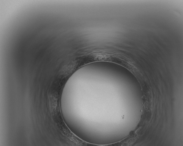 X0000060260417200511041354