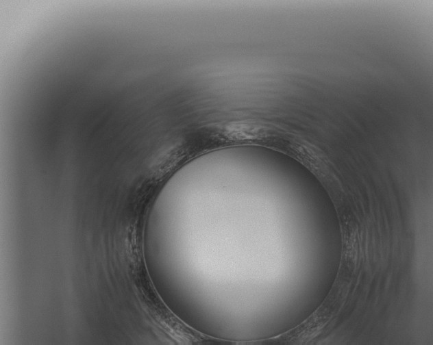 X0000060260418200511041354