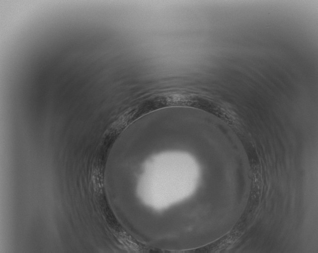 X0000060260419200511041354