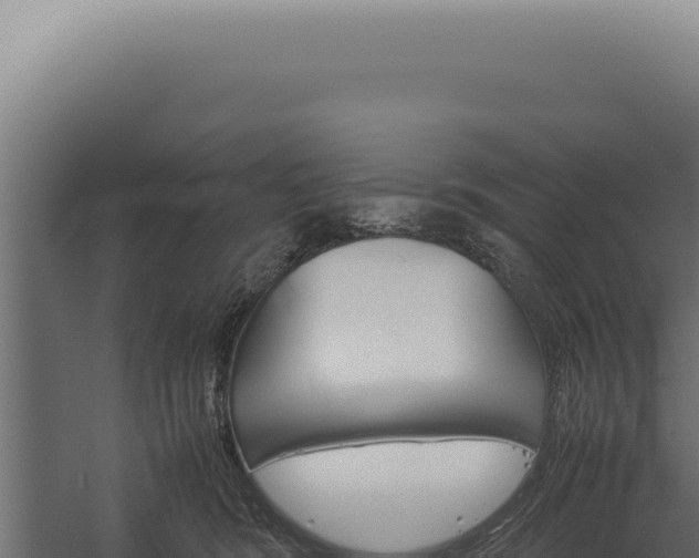 X0000060260420200511041354