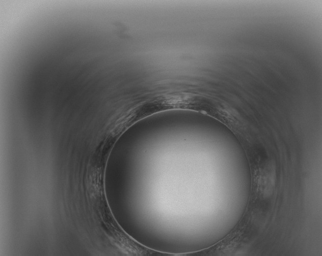 X0000060260421200511041354