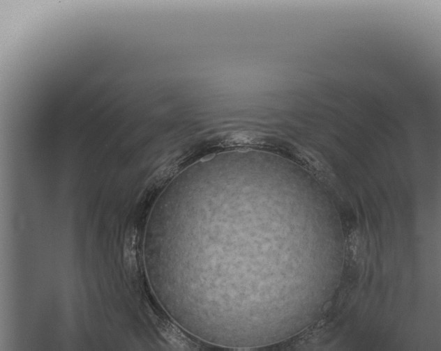 X0000060260423200511041354