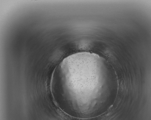 X0000060260424200511041354