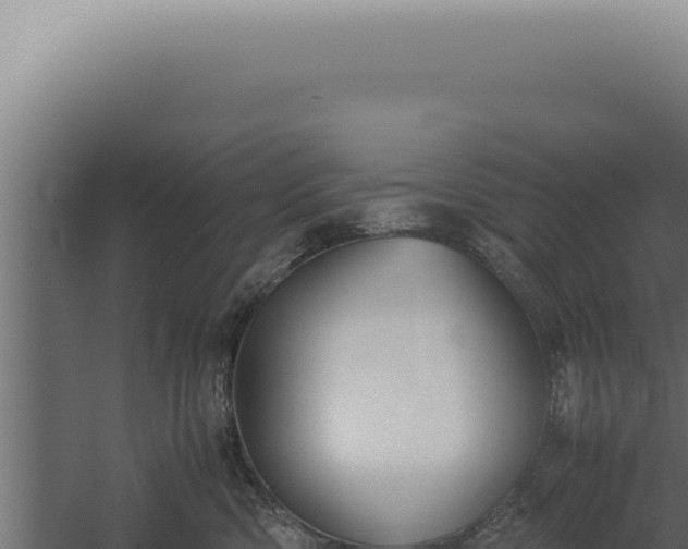 X0000060260426200511041354