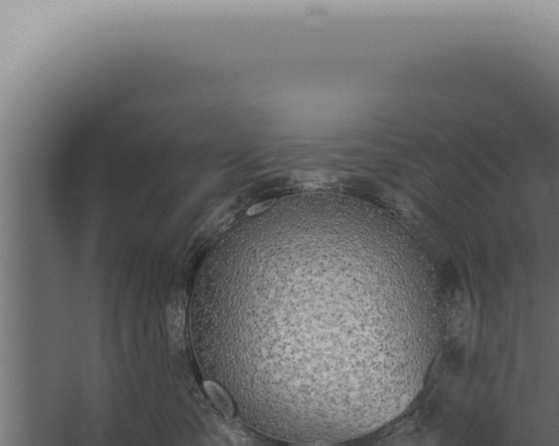 X0000060260427200511041354