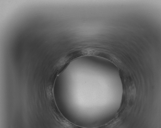 X0000060260429200511041354