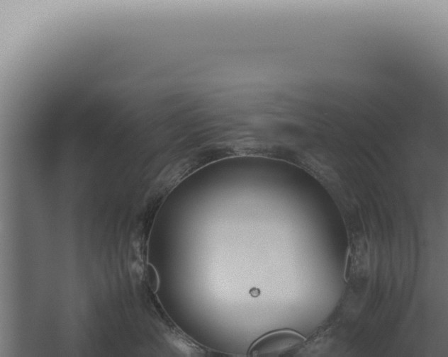 X0000060260430200511041354