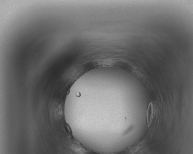 X0000060260431200511041354