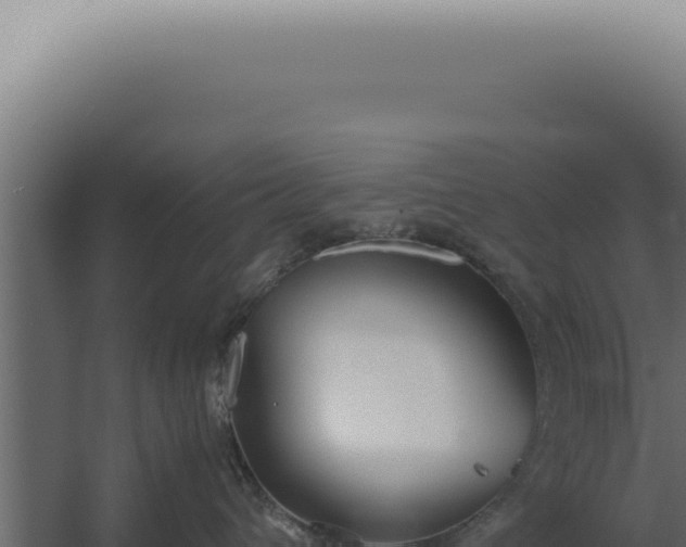 X0000060260432200511041354