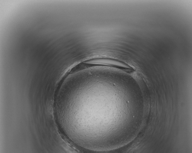 X0000060260434200511041353