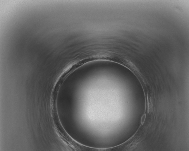 X0000060260435200511041353