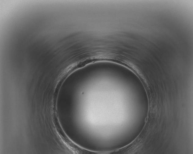 X0000060260437200511041353