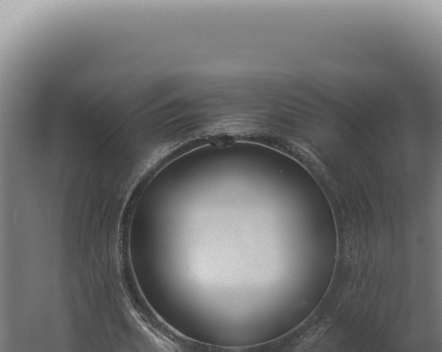 X0000060260439200511041353