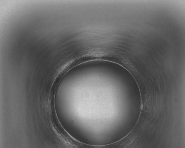 X0000060260440200511041353