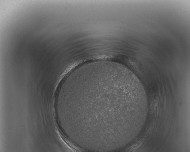 X0000060260443200511041353